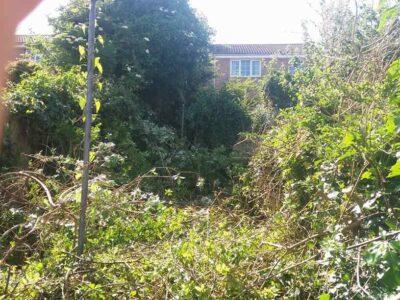 cost of weed removal contractors in Shotton