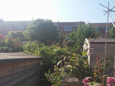 Garden clearance in Shotton