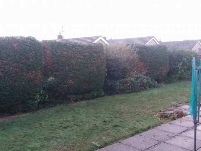 hedge-trimming-34
