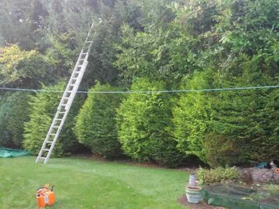 hedge-trimming-55